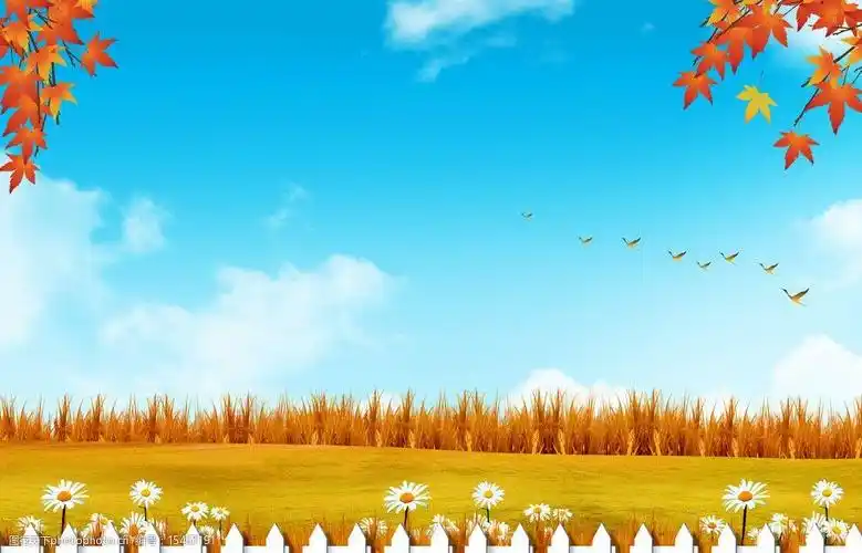 秋天背景图片