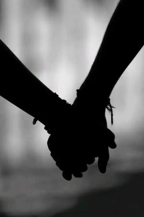 往后余生,愿陪你走过千山万水,看尽世间繁华