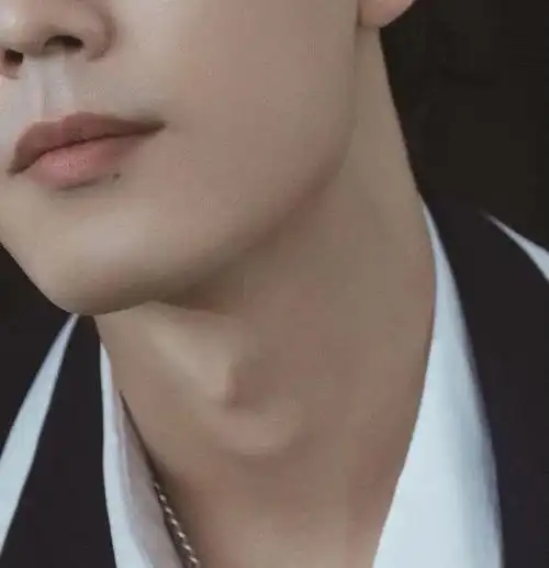 为什么男人有喉结(为什么男人有喉结女人却没有) - 八百生活