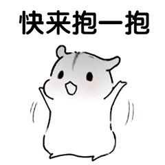 240_240gif 动态图 动图