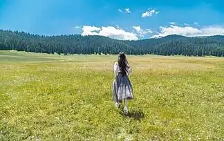 在草原上奔跑的女生的 i>背 /i> i>影 /i>