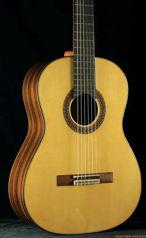 新到的stenzel吉他