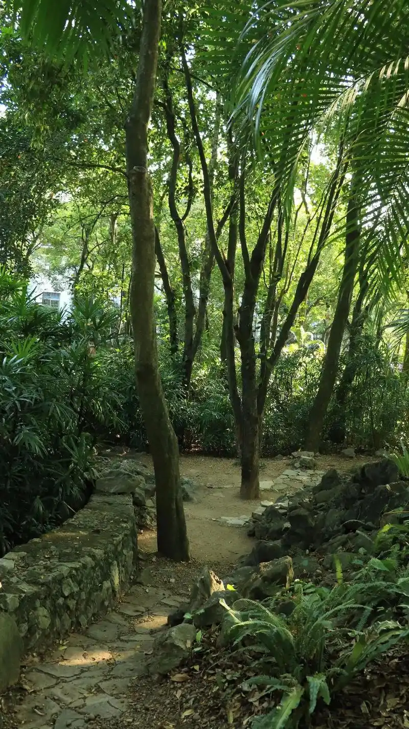 南宁打卡南宁市人民公园