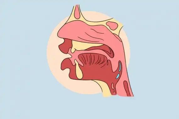 二阳来袭清利地喹氯铵含片守护咽喉健康