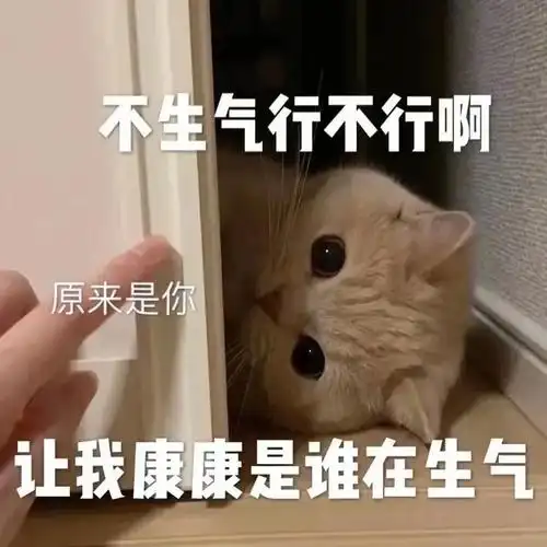 小猫咪表情包之哄老公篇