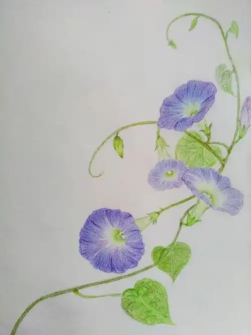 小清新插画人物作品信息创作时间2016/07/01创作工具彩色铅笔添加表情