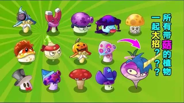 植物大战僵尸:13菇一起开大有多恐怖?