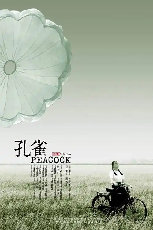 资料图片:电影《孔雀》候选海报(12)