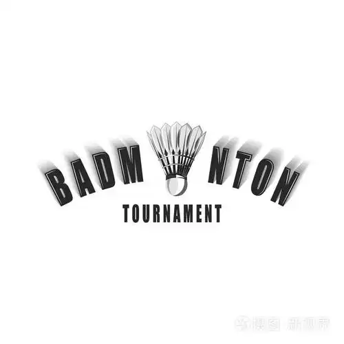 羽毛球锦标赛用羽毛毽球标志铭文t恤印花运动徽章