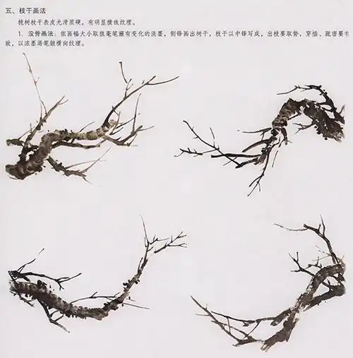 中国国画-桃花的绘画技法(上)