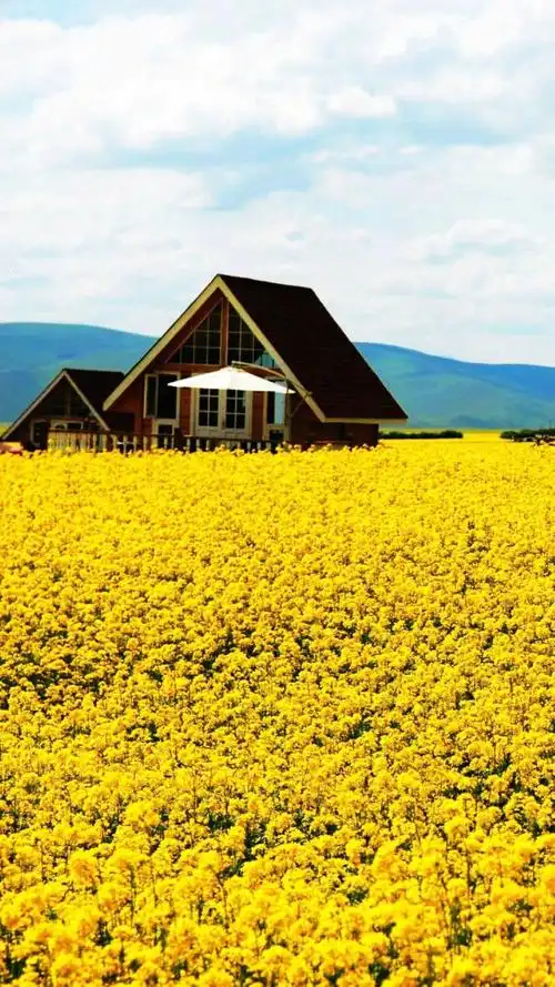 治愈系,唯美意境,治愈系,唯美,春天,田野,手机壁纸治愈系春天田野风景