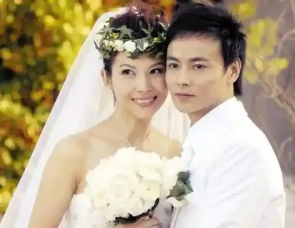 精武英雄演员如今现状山田光子发福陈真师弟无戏可拍