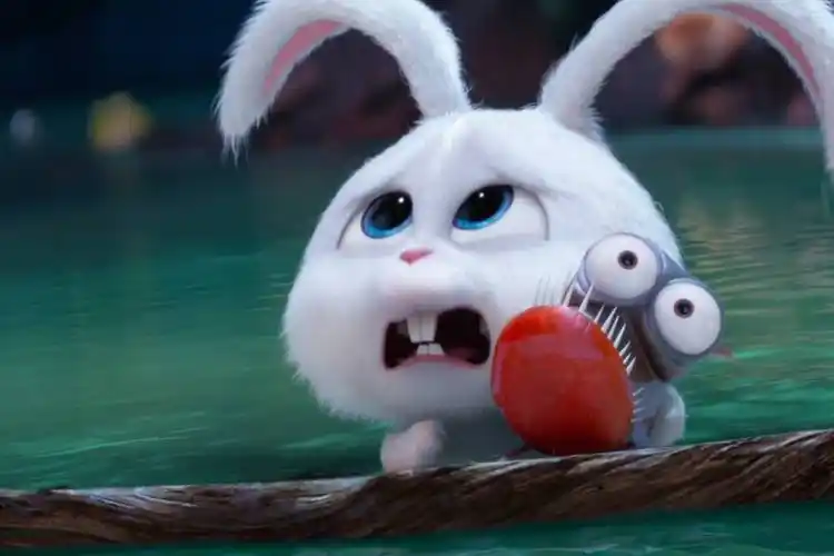 小黄人智能大反攻混剪爱宠大机密雪球-动漫视频-搜狐视频