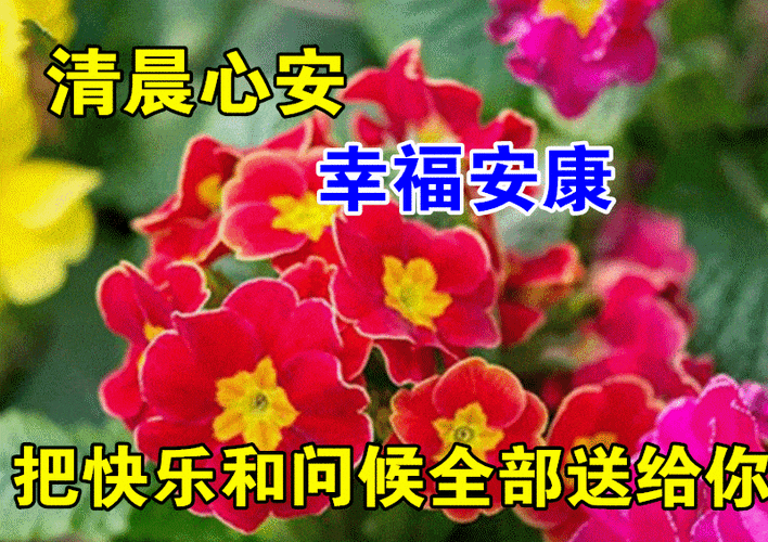 6月24日最漂亮早上好动态表情图片大全早上好动图美图大全