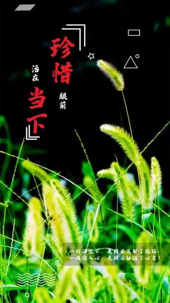 珍惜眼前活在当下简约手机用图