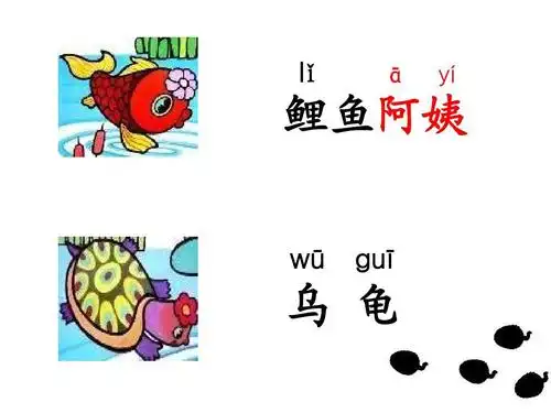 小学教育 语文 《小蝌蚪找妈妈》课件ppt lǐ ā yí 鲤鱼阿姨