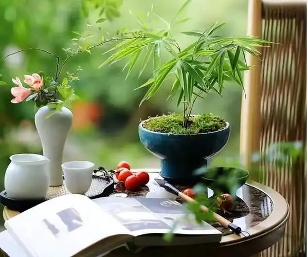 诗意阑珊,惊艳了时光,温柔了岁月,正如你遇见了茶,充满了诗意的人生