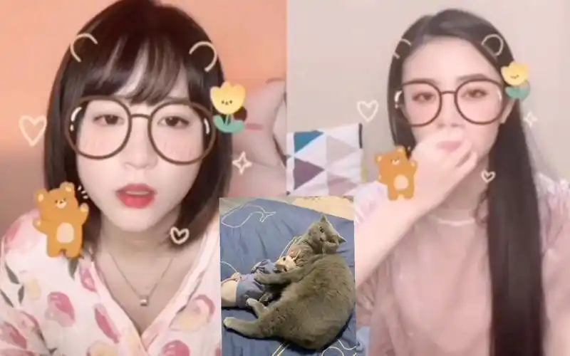 钱蓓婷李宇琪有没有不掉毛的猫duanglnemo是谁