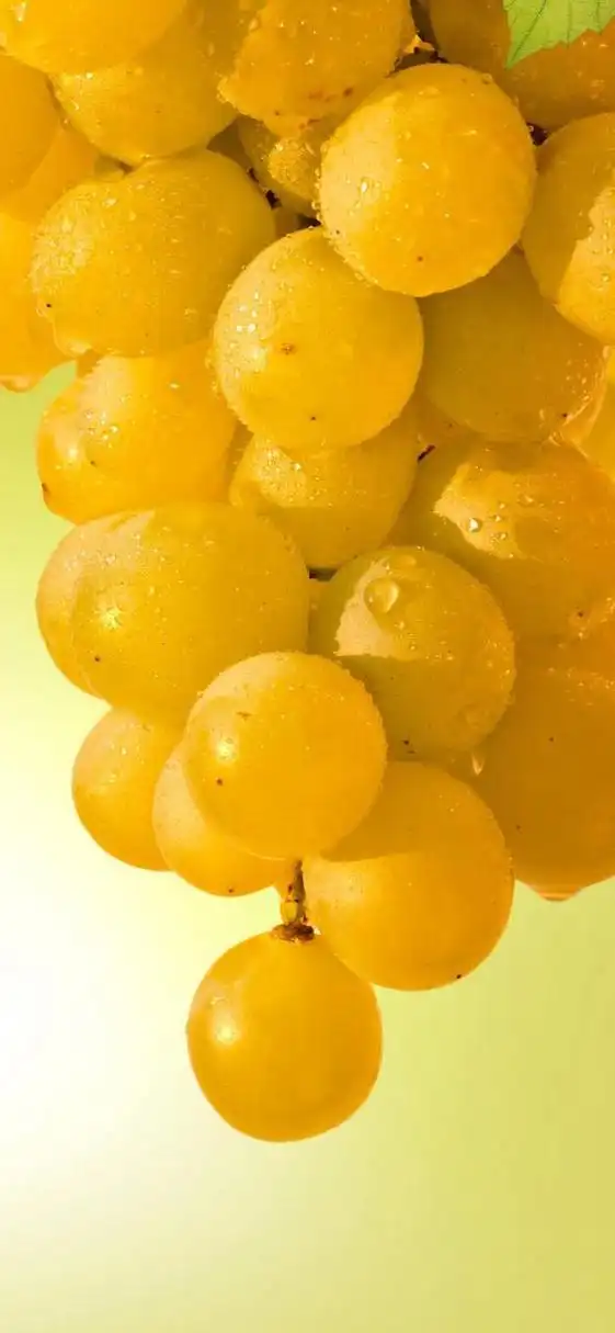 诱人的水果壁纸90#壁纸