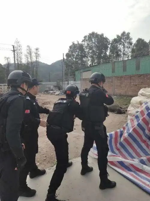 发疯水牛撞伤两人三人被困工地特警出击将牛击毙