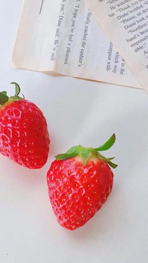 1600_2842竖版 竖屏