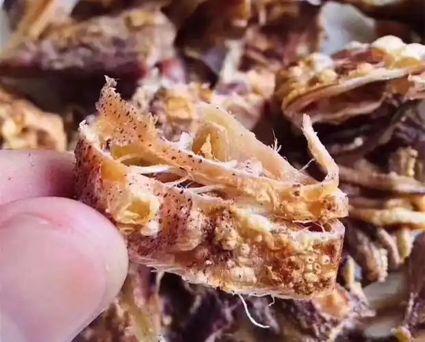 渔民自晒鱿鱼仔 淡晒海兔子干 灯光船捕鱿鱼干 海产干货250g【图片