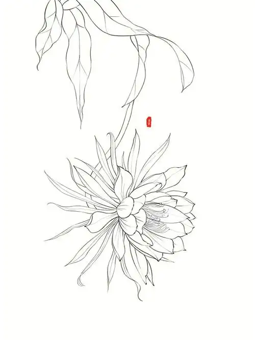 就是有点难画～#线描  #古风花卉  #植物插画  #古风插画  #昙花