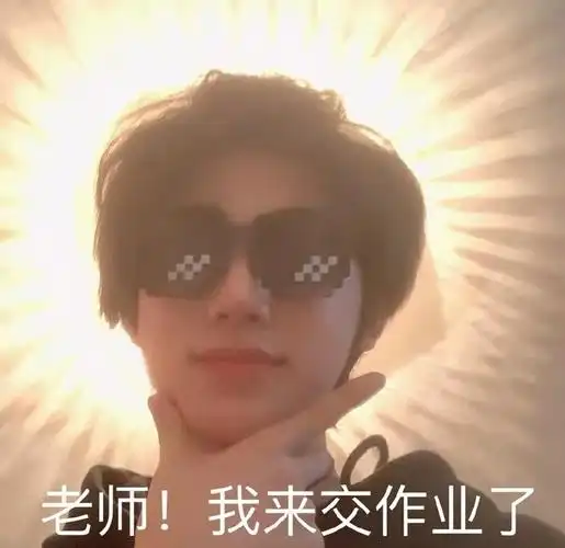宋亚轩交作业表情包