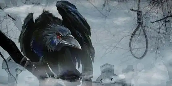 乌鸦象征着什么有两种寓意第一种很多人不知道