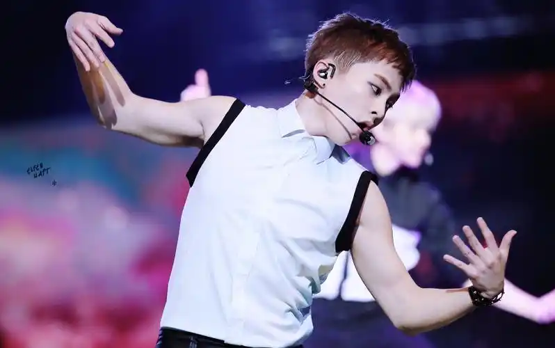 150530-31 the exoluxion in shanghai 蝴蝶少女(dont go) xiumin