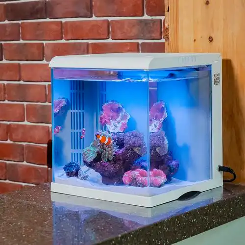 鱼缸海水小型全套超白玻璃桌面办公室智能背滤鱼缸