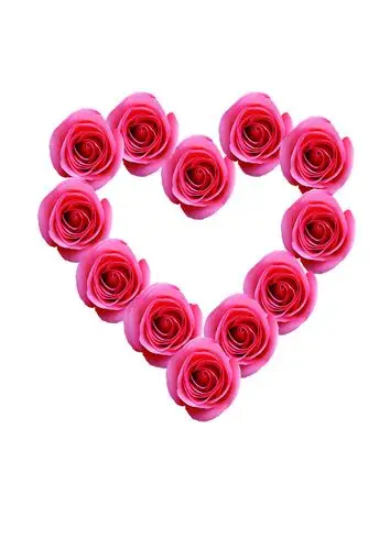 玫瑰花 心形素材