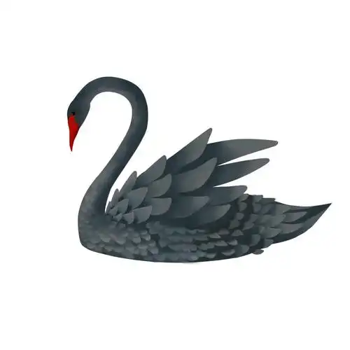 黑天鹅语录摘抄四