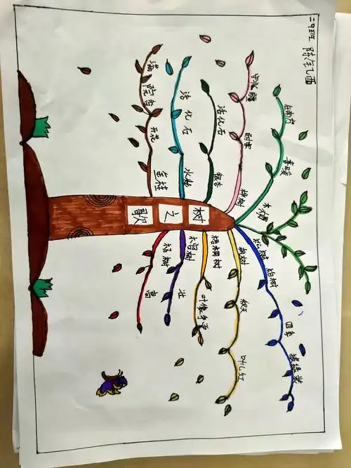 评选出本班优秀思维导图 【数学篇】一等奖   对以上获奖