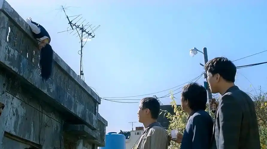 好看国外电影盘点