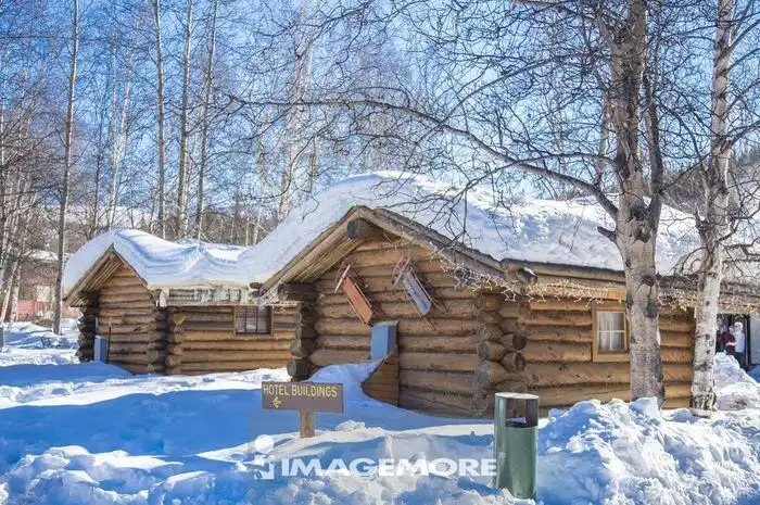 雪景,雪,枯树,小木屋