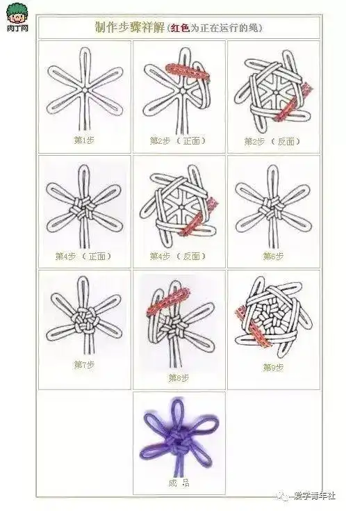 五,小中国结四,凤尾结三,三叶节二,菊花节一,双环节今天,一起来学习