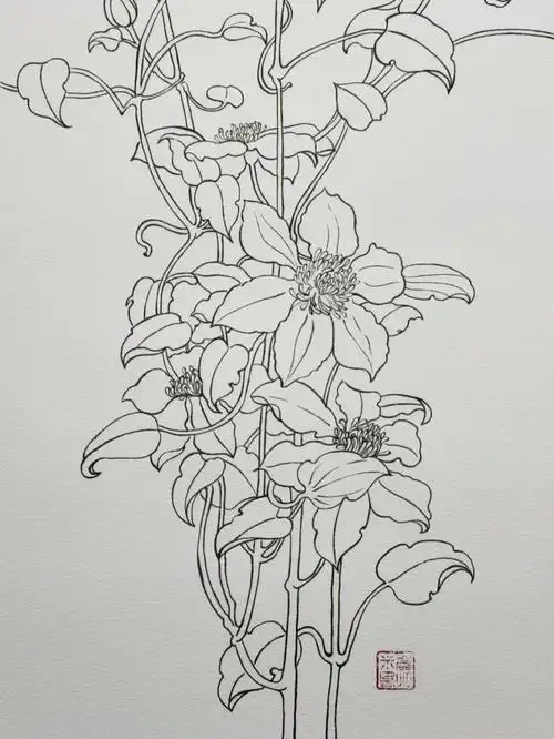花卉白描