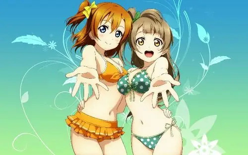 求一张动漫图lovelive,穗乃果和小鸟站着穿着泳装,对着我们各伸一只手