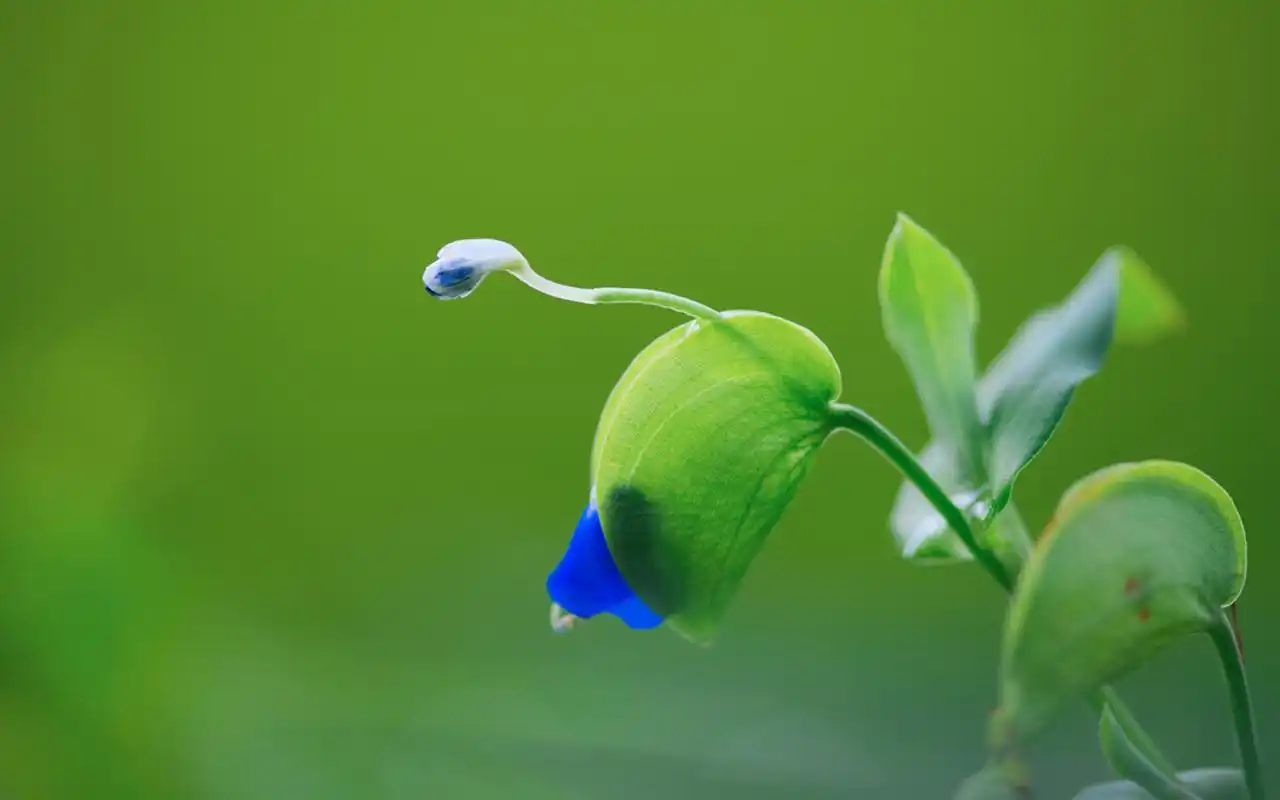 9月,此生挚爱,失而复得,凛冬既往,虚惊一场,十指紧扣诉衷情