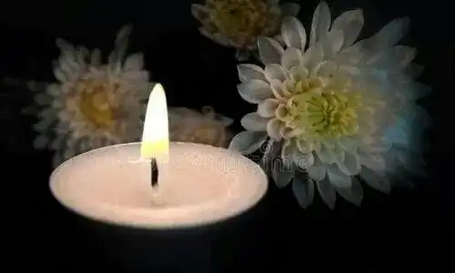 所以,在这个遥寄哀思,悼亡怀人的节日里,也有了一层沉重的含义.