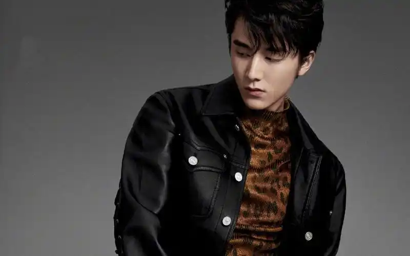 张新成最新超酷壁纸_冰糖炖雪梨黎语冰