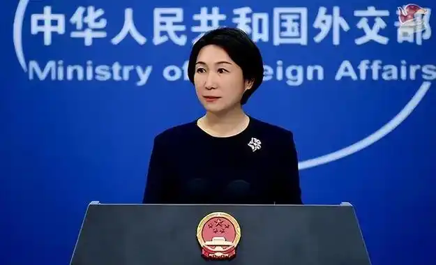 两名中国公民在美被定罪,中方回应|毛宁|外交部发言人_网易订阅