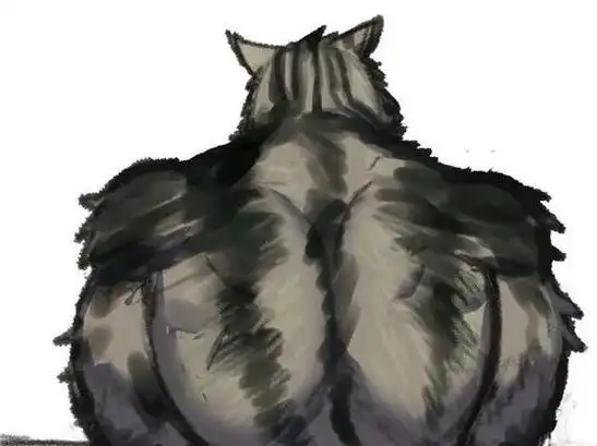 猫咪被画成肌肉猫主人百般解释后网友为什么猫能这么健美