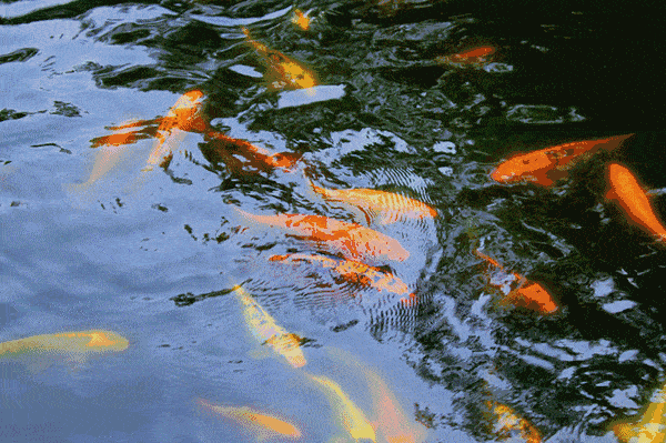 旅游频道-手机搜狐