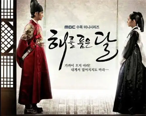 2003年,韩佳人与李泰兰,金浩镇,延政勋等演员合作拍摄电视剧《黄手帕