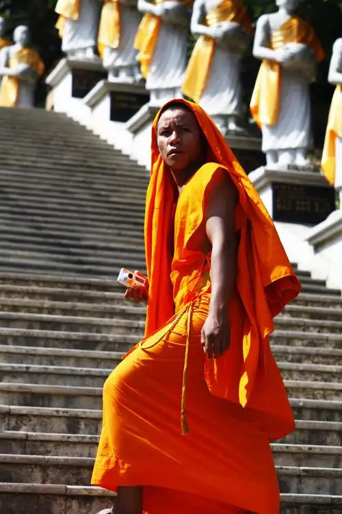台阶上的僧人 - 人物类 摄影大赛2015 - 国家地理中文网