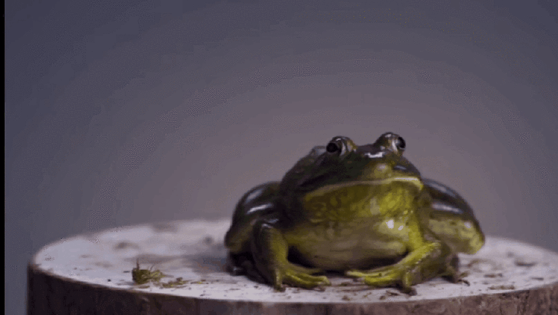 850_480gif 动态图 动图