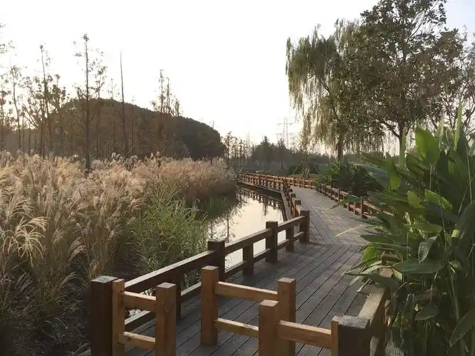 太仓太丰西庐生态湿地公园