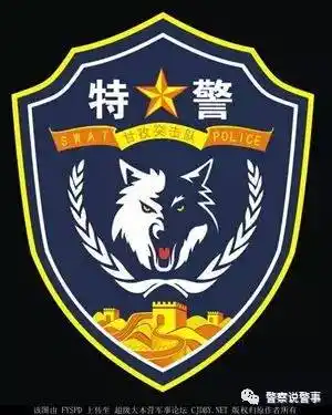 局静安分局特警支队logo上海市公安局虹口分局特警支队虹剑突击队logo
